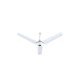 Royal 48 inches Ceiling Fan