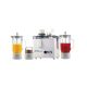 Anex Juicer Blender Grinder AG-171 GL