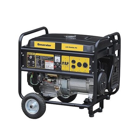 STEELE 12KVA Petrol & Gas Generator