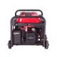 Sanco 2.5 KW Petrol & Gas Generator SN 3700E