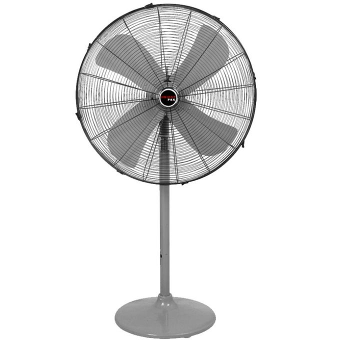 Orient 24 Inch Pedestal Fan Life Style