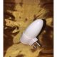 LED Night Bulb-White Light