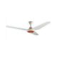 Super Asia 56 Inch Ceiling Fan Vista