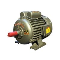 NAGINA Electric (Induction) Motors: SIZE: 1 AHP