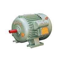 NAGINA Electric (Induction) Motors: SIZE: 1 HP